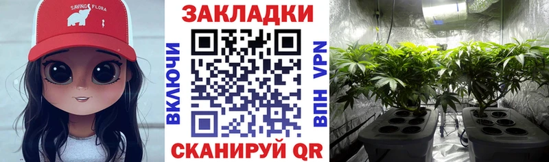  КОКАИН Терек