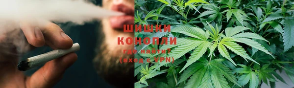 ПСИЛОЦИБИНОВЫЕ ГРИБЫ Аркадак