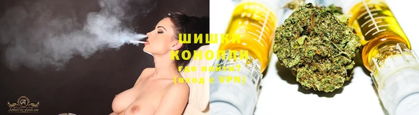 ПСИЛОЦИБИНОВЫЕ ГРИБЫ Аркадак