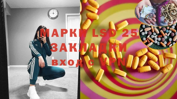 шишки Саяногорск