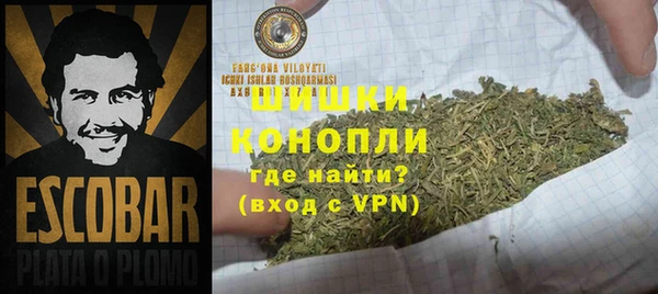 прущие грибы Арсеньев