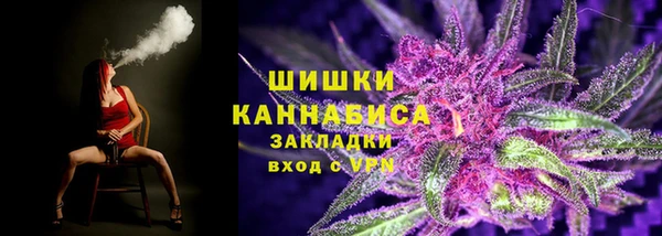 прущие грибы Арсеньев