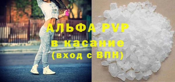 прущие грибы Арсеньев