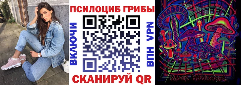 Галлюциногенные грибы Psilocybe Терек